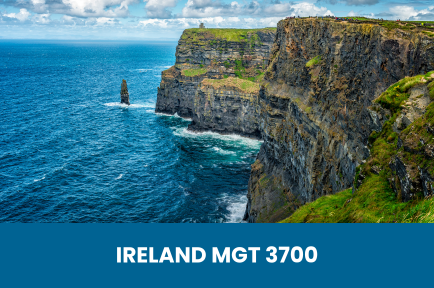 Ireland MGT 3700-2