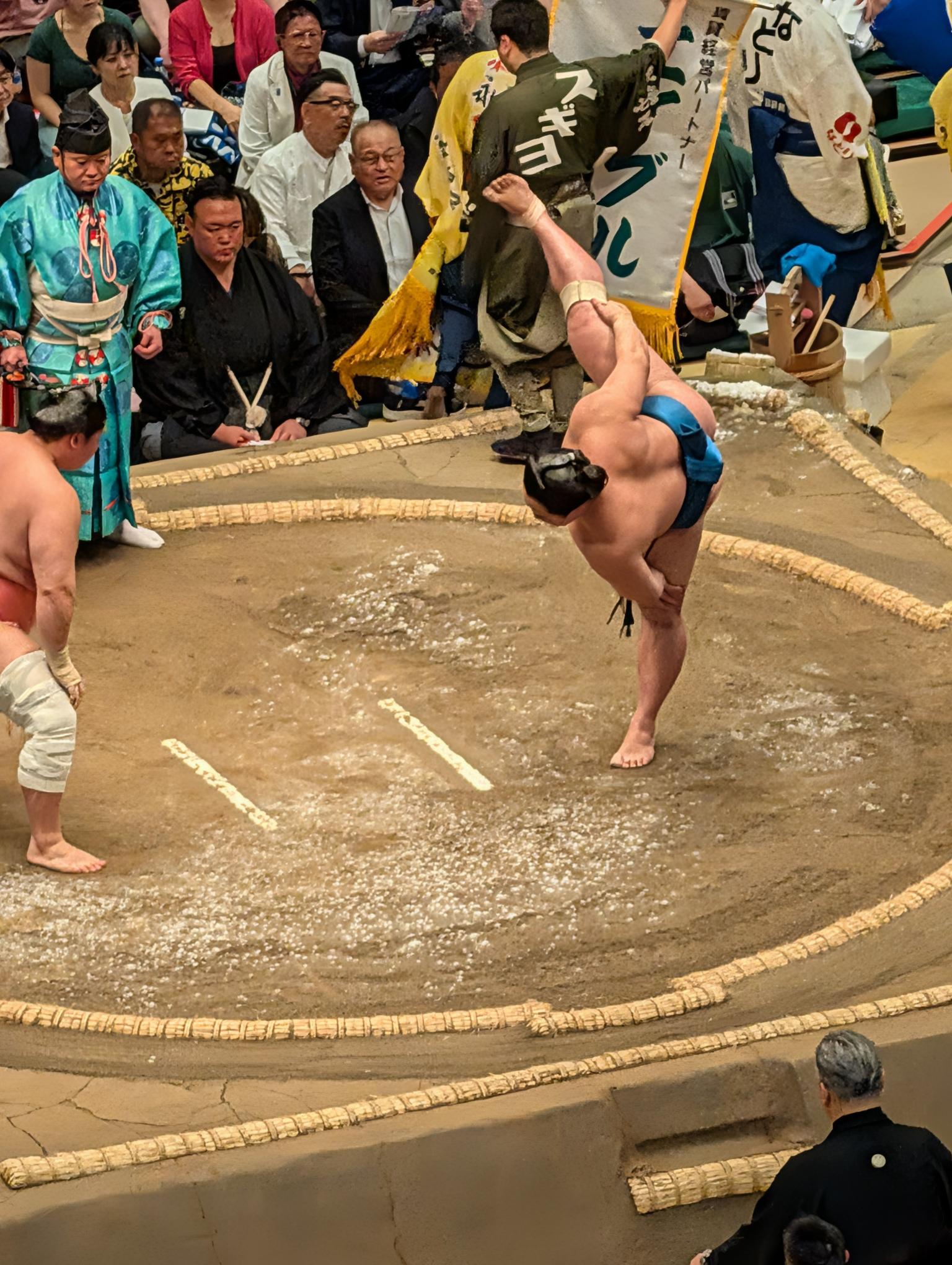 sumo wrestling
