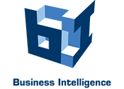 Business Intelligence Group Logo