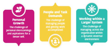 Graphic describing personal growth, people and task demands, and working with a larger system