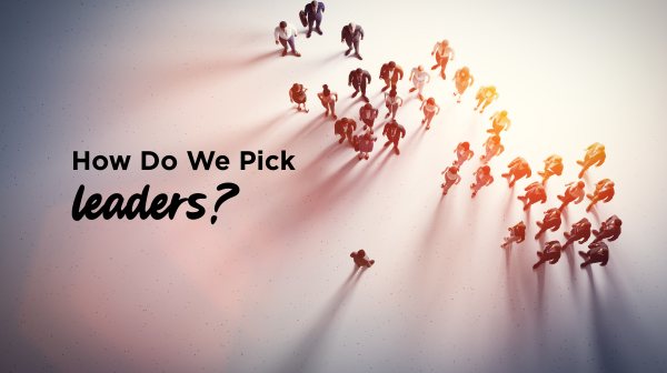 How Do We Pick Leaders? The Beauty Bias and Leader Emergence