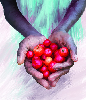 Hands holding berries.